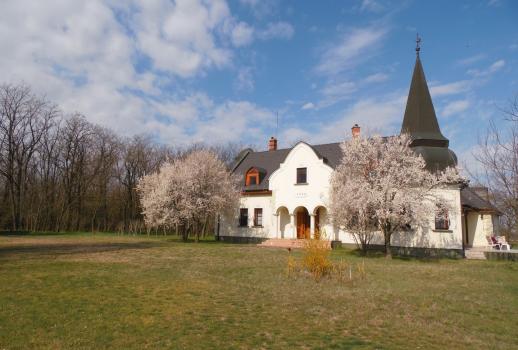 Large property with a castle-like house for sale in the Puszta
