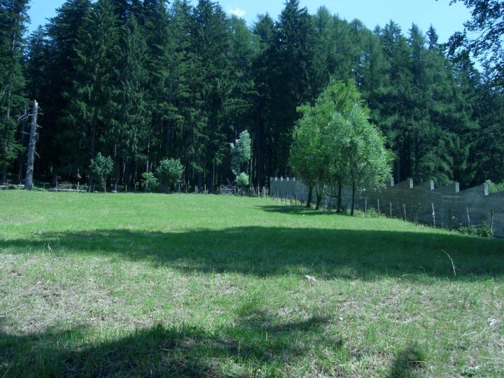Grundstück im Prahova Tal zu verkaufen