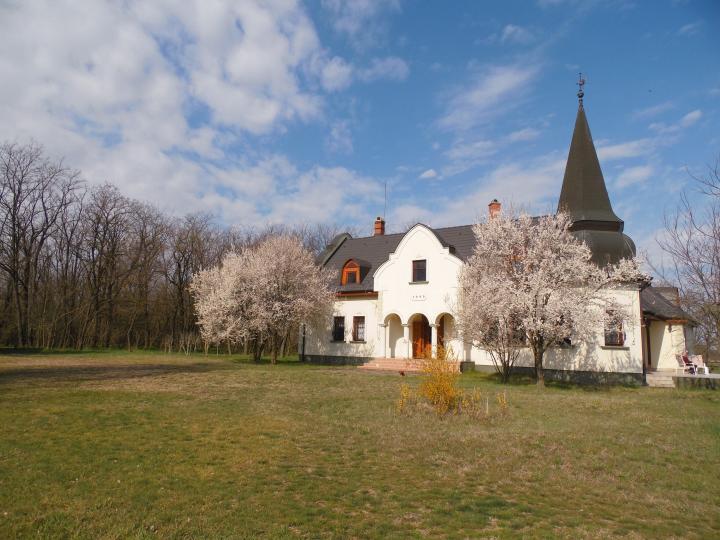 Stor egendom med slottliknande hus i Pusztan till salu