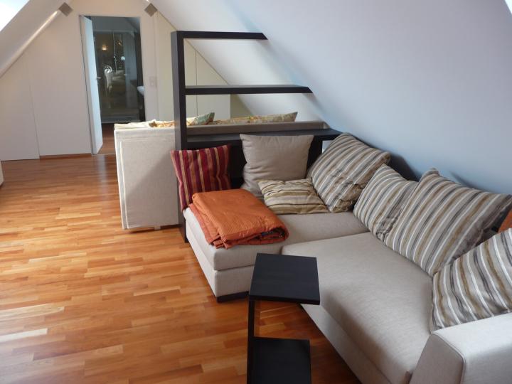 Penthouse apartment in Linz/Urfahr