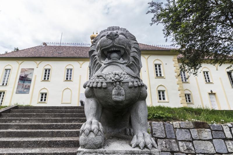 Slott i Ungern, Vas länsdistrikt