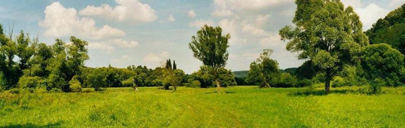 Zona di caccia e di cavalcate