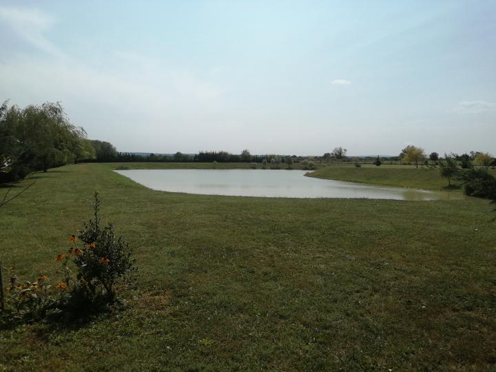 Välskött PLOT med sjö nära Sopron, Ungern