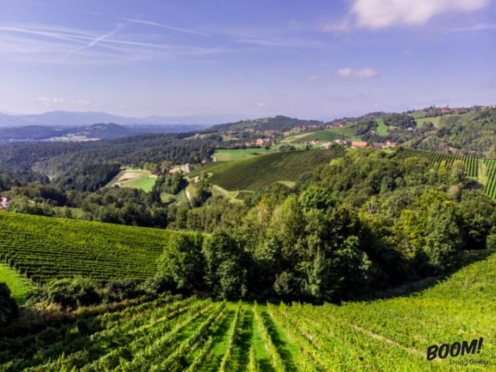 Unik fastighet i södra Steiermark - vingård, pool, pensionat och mycket mer!