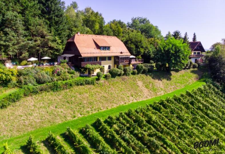 Jedinečná nemovitost v jižním Štýrsku - vinice, bazén, penzion a mnoho dalšího!