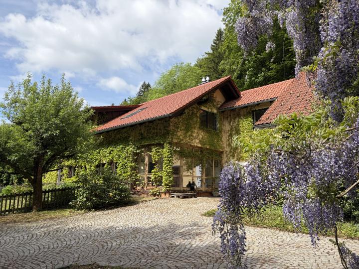 Außergewöhnliches Landhaus mitten im Böhmerwald mit 2,4ha Grund Außergewöhnliches Landhaus mitten im Böhmerwald mit 2,4ha Grund
