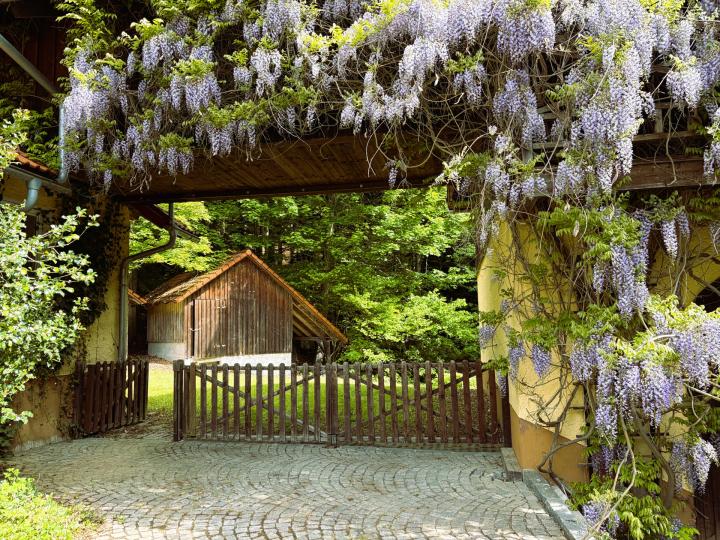 Außergewöhnliches Landhaus mitten im Böhmerwald mit 2,4ha Grund Außergewöhnliches Landhaus mitten im Böhmerwald mit 2,4ha Grund