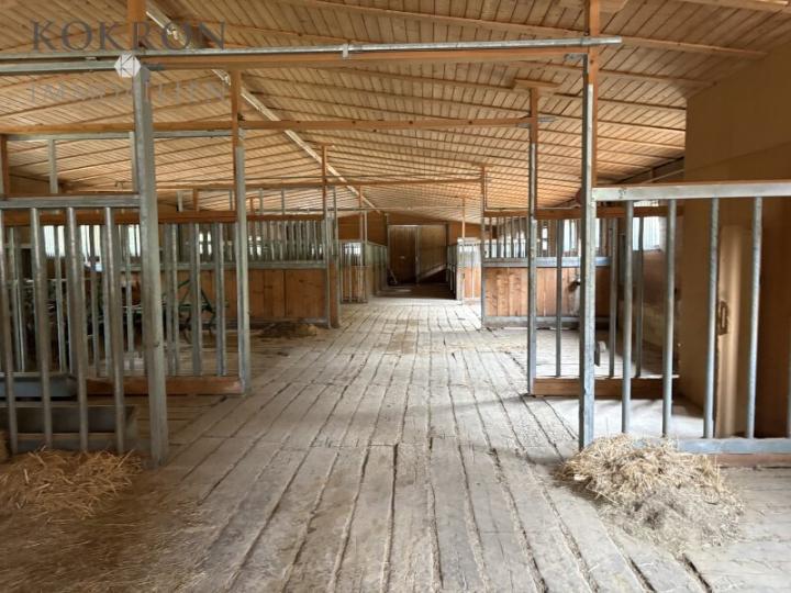 HÄSTHÅLLNING MED UTSIKT – EN LÄNGT BELÄGEN GÅRD HÄSTHÅLLNING MED UTSIKT – EN LÄNGT BELÄGEN GÅRD
