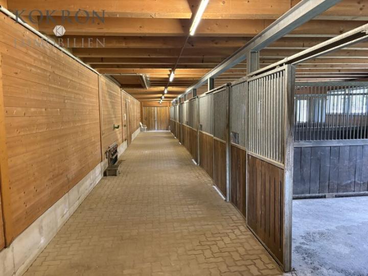 HÄSTHÅLLNING MED UTSIKT – EN LÄNGT BELÄGEN GÅRD HÄSTHÅLLNING MED UTSIKT – EN LÄNGT BELÄGEN GÅRD
