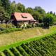 Unique property in southern Styria - vineyard, pool, guest house, and much more!