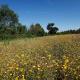 Property with 226 hectares for sale