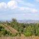 Property with 226 hectares for sale