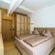 Elegant penthouse in Munich style