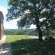 Siena: Restored Country house with 14 acre land