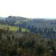 Siena: Restaureret landsted med 14 ha grund